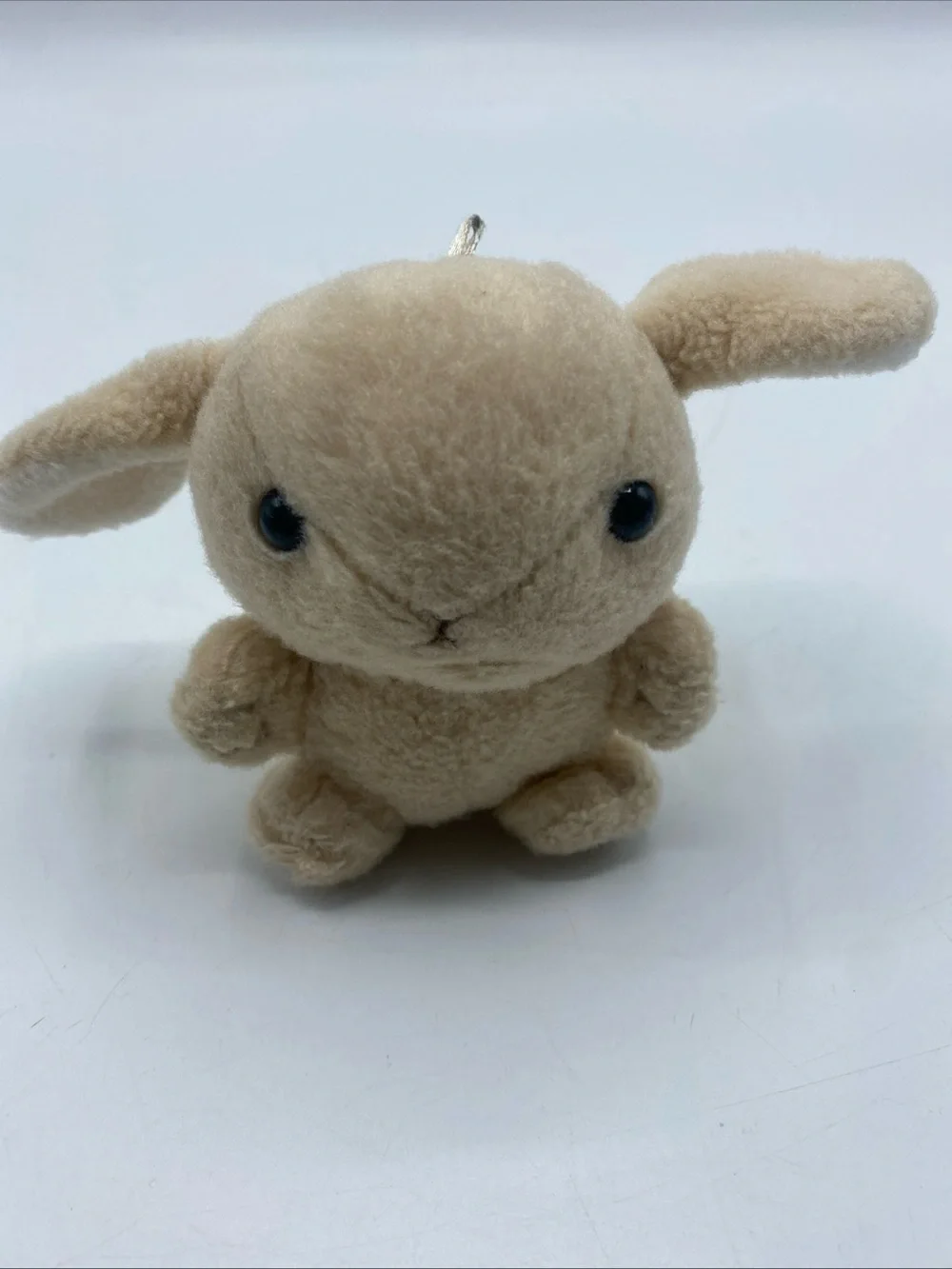 Amuse loppy vivid
